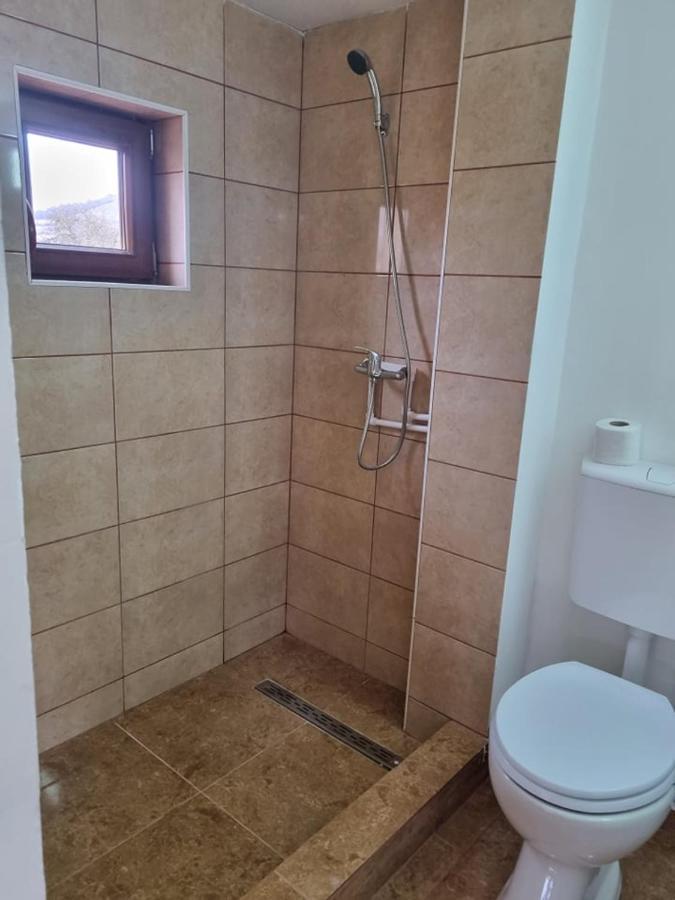 Cabana Valisoara Extérieur photo